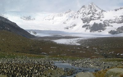 antartica pictures09 in Amazing Antarctica pictures