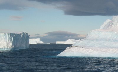 antartica pictures24 in Amazing Antarctica pictures