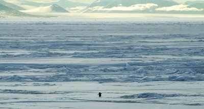 antartica pictures29 in Amazing Antarctica pictures