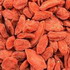 Goji – amazing plant