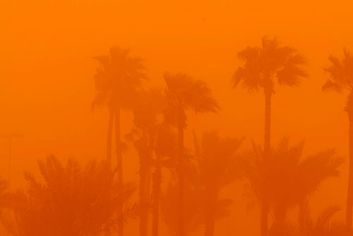 riyad03 in Riyad sand storm   massive sandstorm hits Saudi Arabia