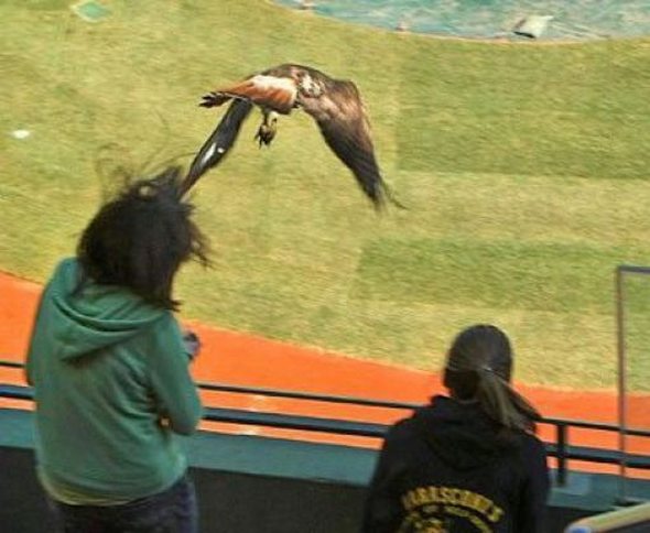 owned fails gallery 09 in Funniest OWNED Photographs Ever Taken