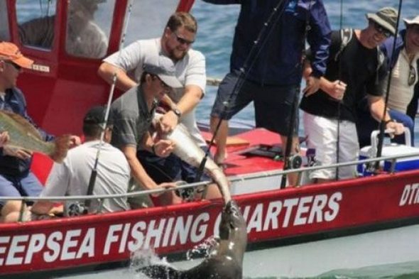 owned fails gallery 15 in Funniest OWNED Photographs Ever Taken