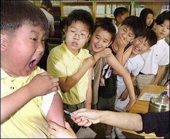 owned fails gallery 22 in Funniest OWNED Photographs Ever Taken