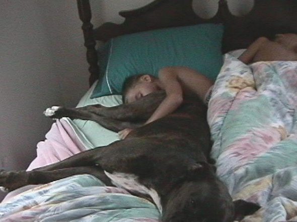 owned fails gallery 24 in Funniest OWNED Photographs Ever Taken