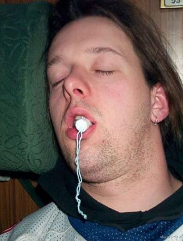 owned fails gallery 29 in Funniest OWNED Photographs Ever Taken