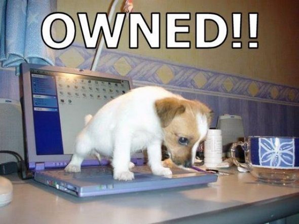 owned fails gallery 30 in Funniest OWNED Photographs Ever Taken