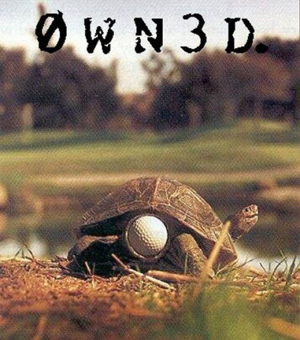 owned fails gallery 39 in Funniest OWNED Photographs Ever Taken