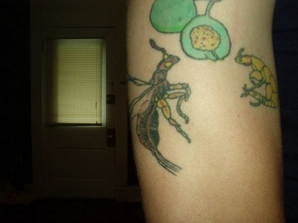 scientific tattoos 20 in 52 Funniest Geeky Scientific Tattoos