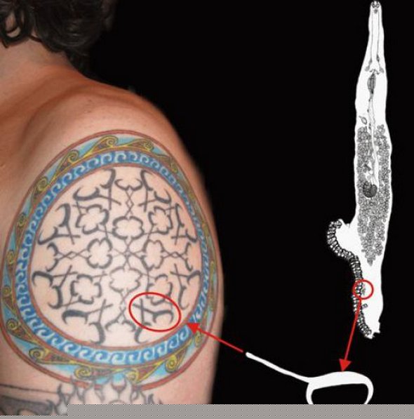 scientific tattoos 26 in 52 Funniest Geeky Scientific Tattoos