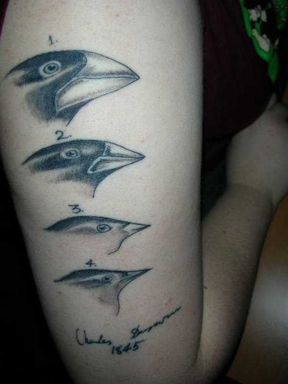 scientific tattoos 28 in 52 Funniest Geeky Scientific Tattoos