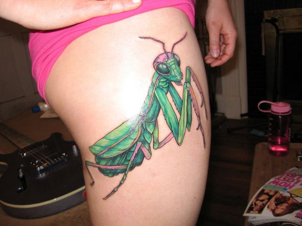 scientific tattoos 40 in 52 Funniest Geeky Scientific Tattoos