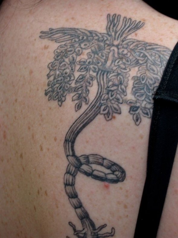 scientific tattoos 42 in 52 Funniest Geeky Scientific Tattoos