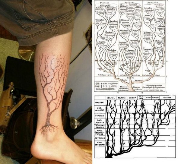 scientific tattoos 48 in 52 Funniest Geeky Scientific Tattoos