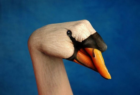 21 animal hand paintings 03 in Hand Painting: 21 Unbelievably Vivid and Creative Animal Paintings