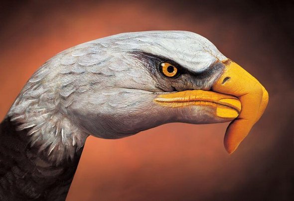21 animal hand paintings 09 in Hand Painting: 21 Unbelievably Vivid and Creative Animal Paintings