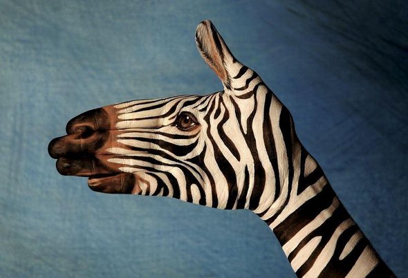 21 animal hand paintings 12 in Hand Painting: 21 Unbelievably Vivid and Creative Animal Paintings