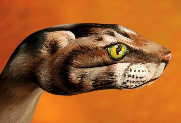 21 animal hand paintings 14 in Hand Painting: 21 Unbelievably Vivid and Creative Animal Paintings