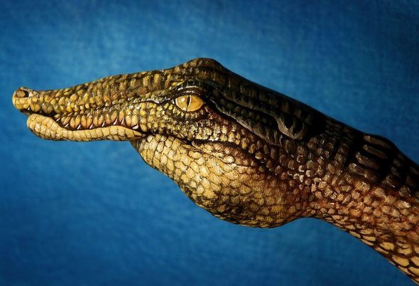 21 animal hand paintings 17 in Hand Painting: 21 Unbelievably Vivid and Creative Animal Paintings