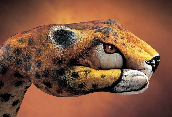 21 animal hand paintings 18 in Hand Painting: 21 Unbelievably Vivid and Creative Animal Paintings