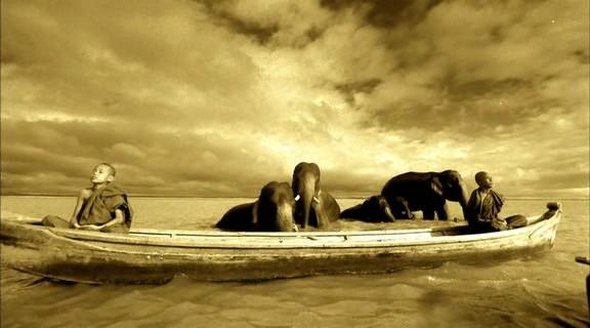 ashes and snow 30 in Touching Photographs of Animal Human Bonds: Ashes and Snow