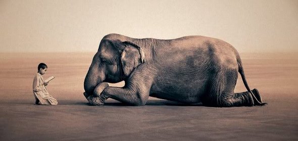 ashes and snow 37 in Touching Photographs of Animal Human Bonds: Ashes and Snow