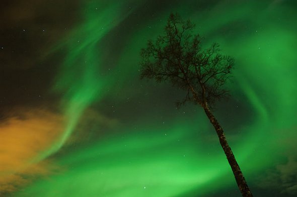 aurora borealis 40 in Stunning Images and Legends of the Northern Lights   Aurora Borealis