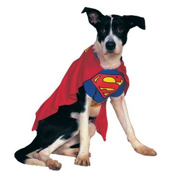 crazy dog costume ideas 04 in Crazy Halloween Dog Costume Ideas