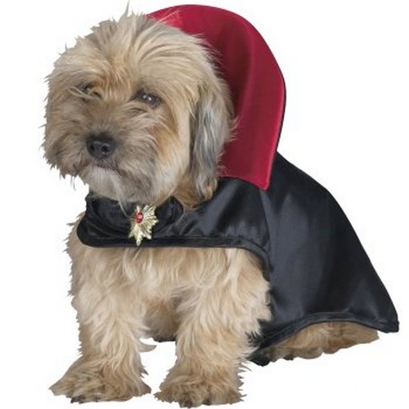 crazy dog costume ideas 06 in Crazy Halloween Dog Costume Ideas