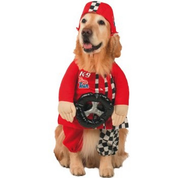 crazy dog costume ideas 08 in Crazy Halloween Dog Costume Ideas