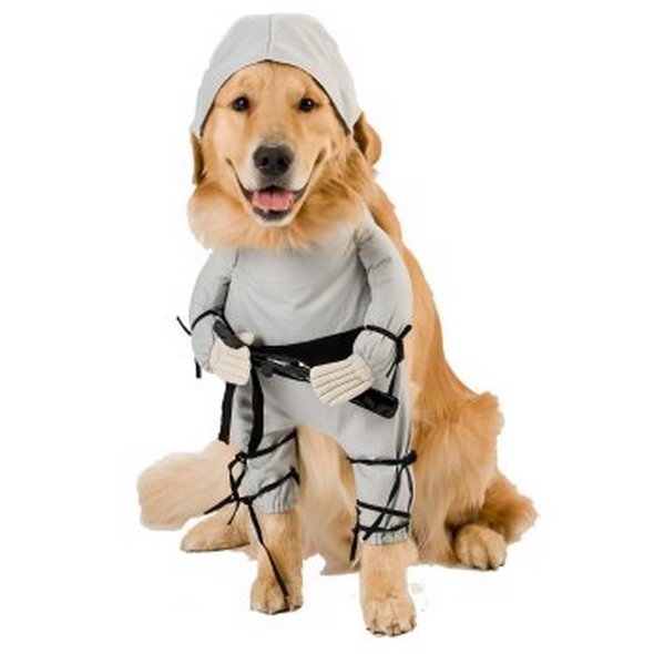 crazy dog costume ideas 11 in Crazy Halloween Dog Costume Ideas