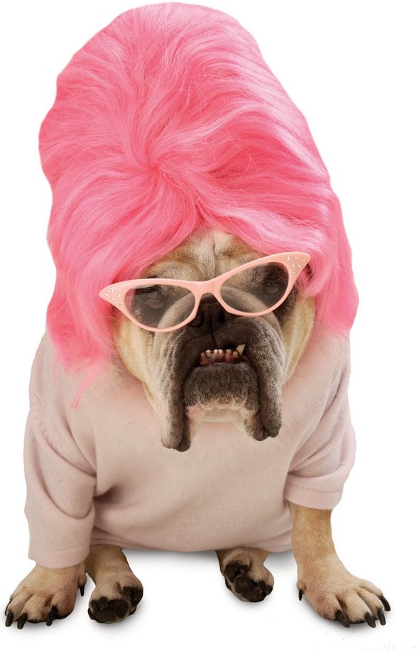 crazy dog costume ideas 15 in Crazy Halloween Dog Costume Ideas