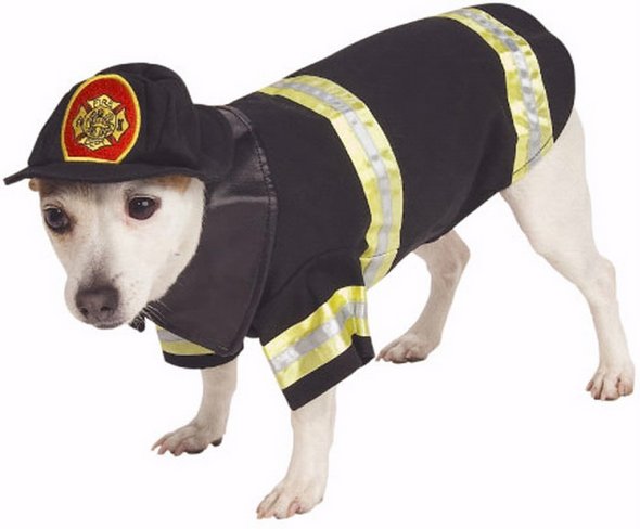 crazy dog costume ideas 17 in Crazy Halloween Dog Costume Ideas