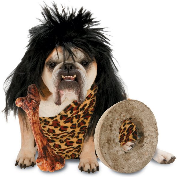 crazy dog costume ideas 20 in Crazy Halloween Dog Costume Ideas