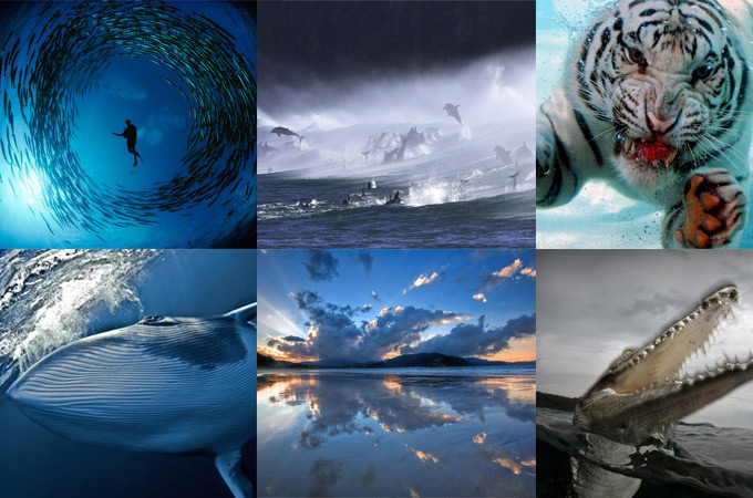 national geography stunning contest winning phogographs 00 in NG Photography: 50 Stunning Contest Winning Photographs