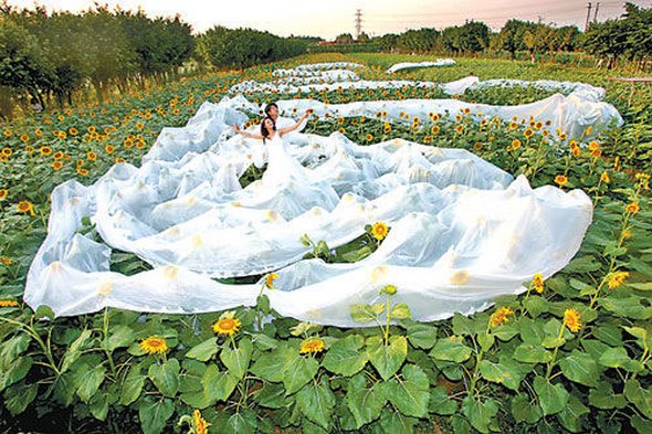 strange wedding dress 02 in Strange And Unique Wedding Dresses