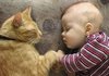 My Pet – My Best Friend Forever