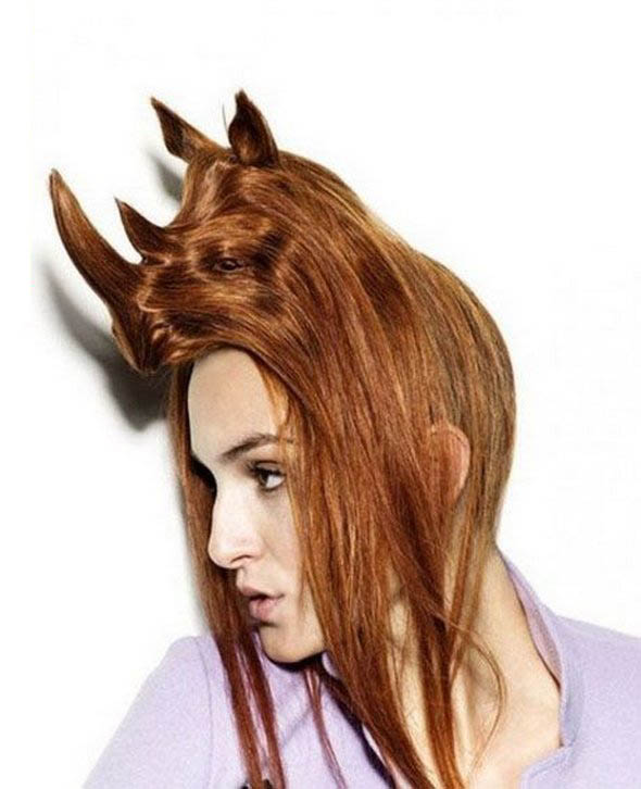 funny animal hairstyles 09 in Weird, Creative & Funny Animal Hairstyles 
