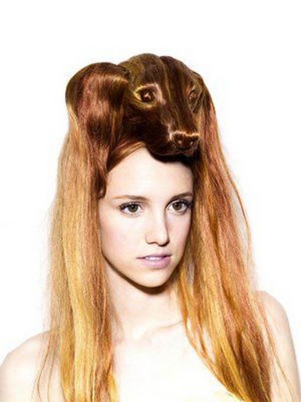 funny animal hairstyles 11 in Weird, Creative & Funny Animal Hairstyles 