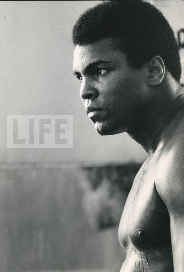 memories from 20th century 26 in Memories from 20th Century: Life Magazines Photographs of People that Marked the Century