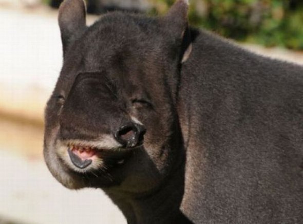 unbelivable non photoshopped images 12 in Top 50 Most Unbelievable   Yet Not Photoshopped Photographs