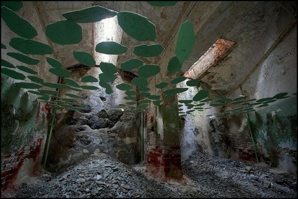 unbelivable non photoshopped images 37 in Top 50 Most Unbelievable   Yet Not Photoshopped Photographs