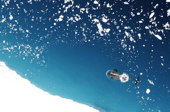 31 best antarctica photos 19 in 31 Best Antarctica Photos
