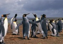31 Best Antarctica Photos