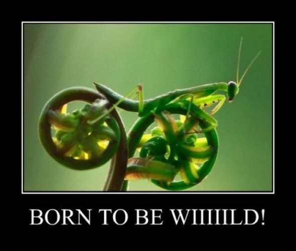 top 20 funny demotivational pics 18 in Top 20 Funniest Demotivational Posters Ever