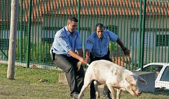 the police do their job 07 in Serve and Protect   No Matter What