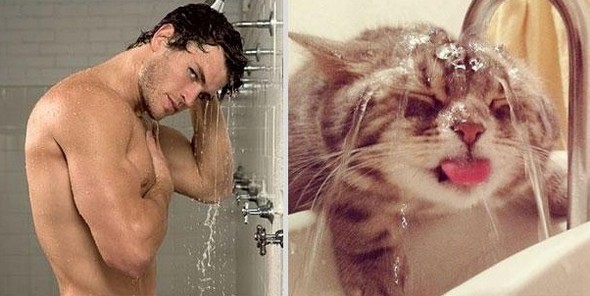 10 diptychs of hot guys and kittens 05 in Handsome Studs or Tame Kittens?!