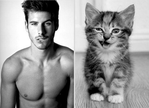10 diptychs of hot guys and kittens 07 in Handsome Studs or Tame Kittens?!