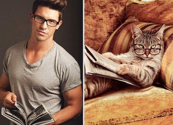 10 diptychs of hot guys and kittens 08 in Handsome Studs or Tame Kittens?!