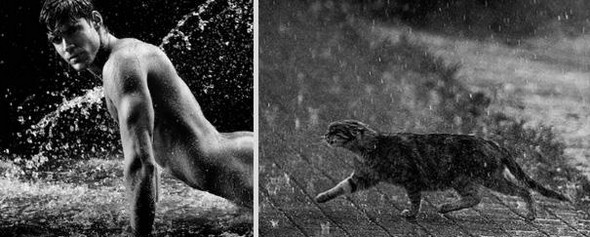10 diptychs of hot guys and kittens 10 in Handsome Studs or Tame Kittens?!